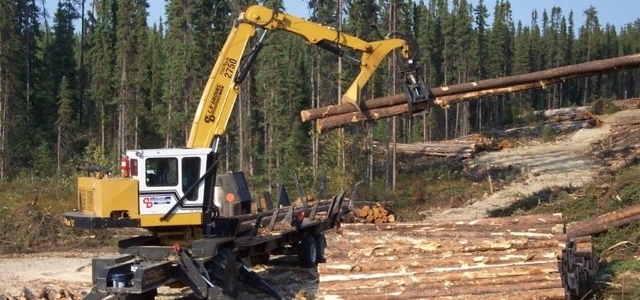 Forestry (640x300)