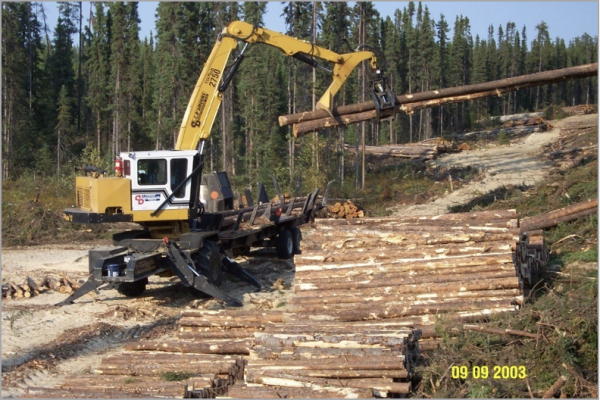Slasher Grapple Bearing –Forestry