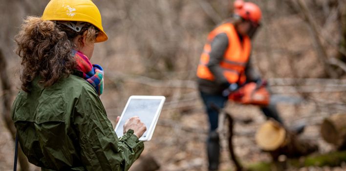 master of forestry engineering