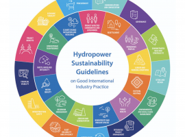 Balancing Power with Responsibility: The Hydropower Sustainability Standard