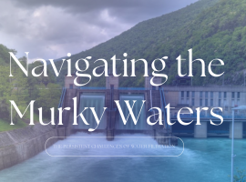 Navigating the Murky Waters: The Persistent Challenges of Water Filtration