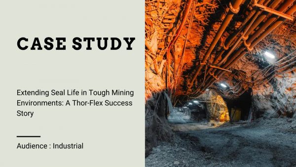 Extending Seal Life in Tough Mining Environments: A Thor-Flex Success Story