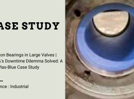 Case Study – Thordon Bearings in Large Valves – Butterfly valves, spherical gate valves, etc.