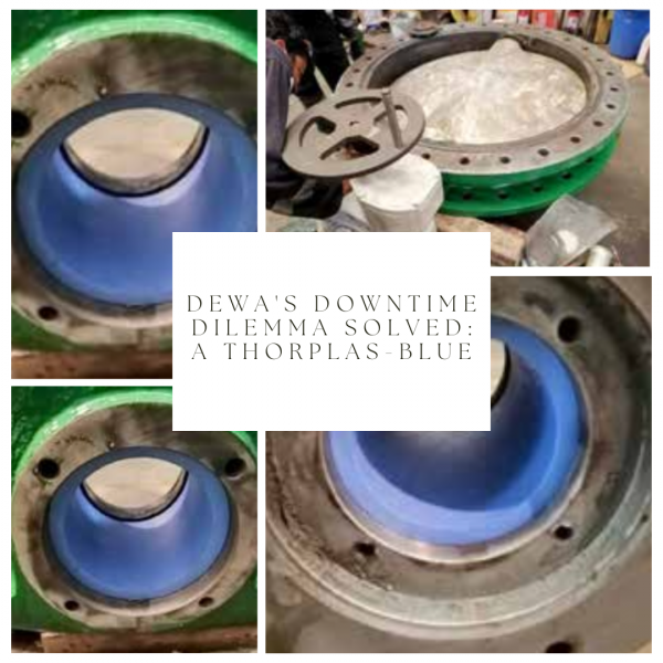 – Case Study – Thordon Bearings in Large Valves – Butterfly valves, spherical gate valves, etc.