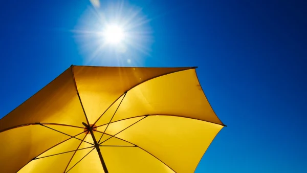 Mitigating Environmental Failures in Non-Metallic Self-Lubricating Bearings